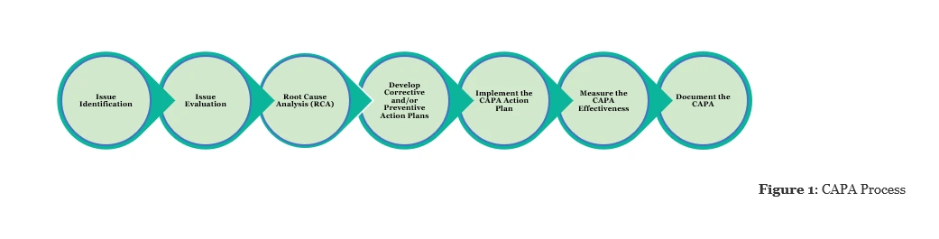CAPA Process Diagram